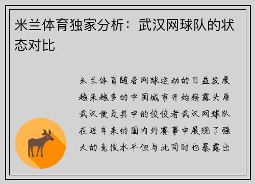 米兰体育独家分析：武汉网球队的状态对比
